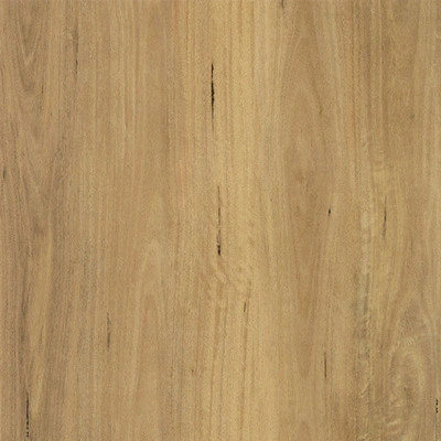 Suelo YF08078A-1 de madera exótica SPC